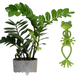 Cute & Stable Frog Plant Stand
