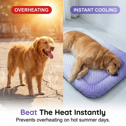 🥳2026 HOT SALE🥳💞50K+ SOLD!🐶❄️ 50% OFF! Cooling Gel Mat for Pets – No refrigeration needed, instant heat relief. Breathable, non‑toxic. Helps pets sleep cool all summer! 🌿✨