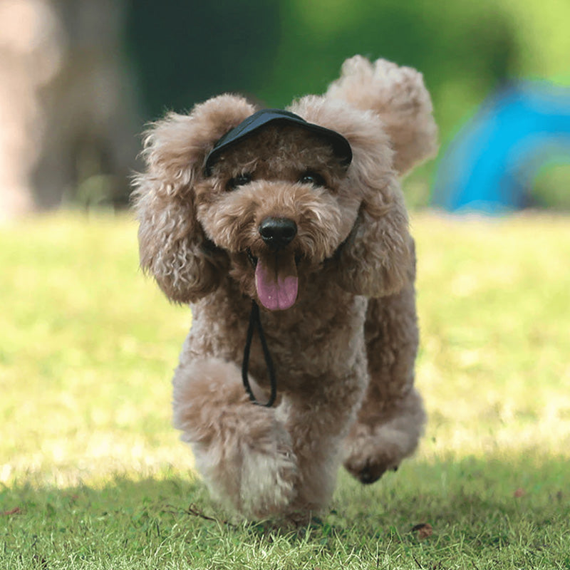 ☀️ Dog Sun Hat with Wide Brim — UV Protection, Breathable & Adjustable for Summer Walks
