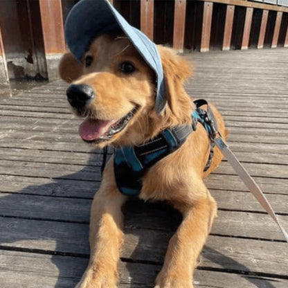 ☀️ Dog Sun Hat with Wide Brim — UV Protection, Breathable & Adjustable for Summer Walks