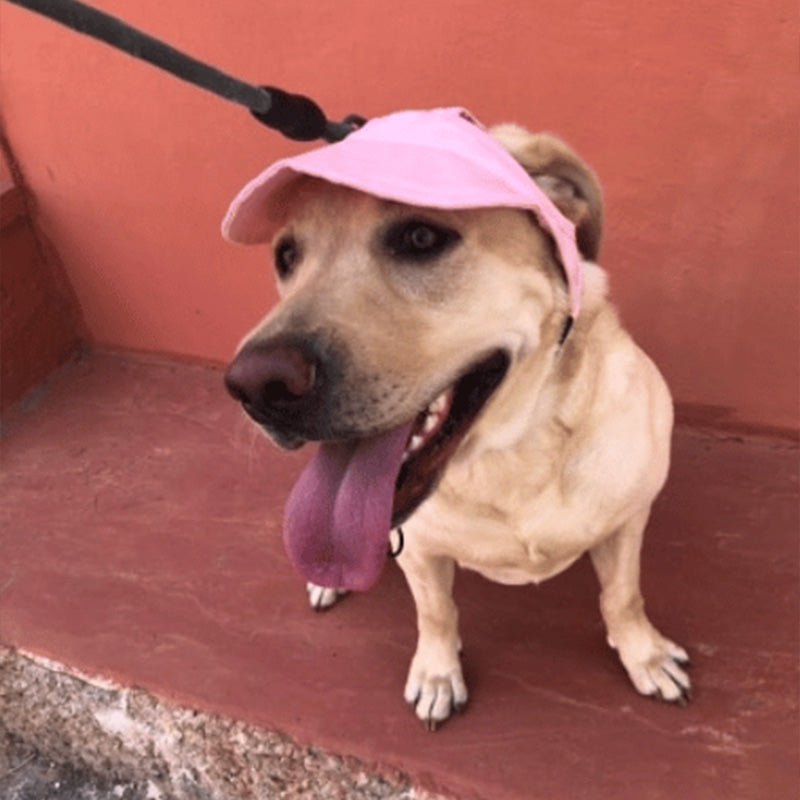 ☀️ Dog Sun Hat with Wide Brim — UV Protection, Breathable & Adjustable for Summer Walks