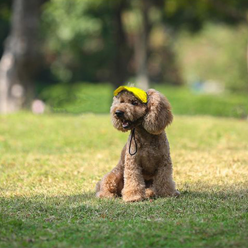 ☀️ Dog Sun Hat with Wide Brim — UV Protection, Breathable & Adjustable for Summer Walks