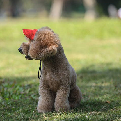 ☀️ Dog Sun Hat with Wide Brim — UV Protection, Breathable & Adjustable for Summer Walks