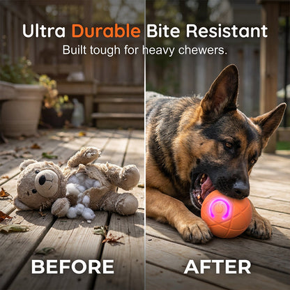 🔥50K+ SOLD!   🐾 AUTO-BOUNCING SMART PET BALL WITH REMOTE CONTROL— 3 Interactive Modes | Chew-Resistant E-TPU | USB-C Rechargeable 🎾