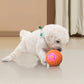 🔥50K+ SOLD!   🐾 AUTO-BOUNCING SMART PET BALL WITH REMOTE CONTROL— 3 Interactive Modes | Chew-Resistant E-TPU | USB-C Rechargeable 🎾