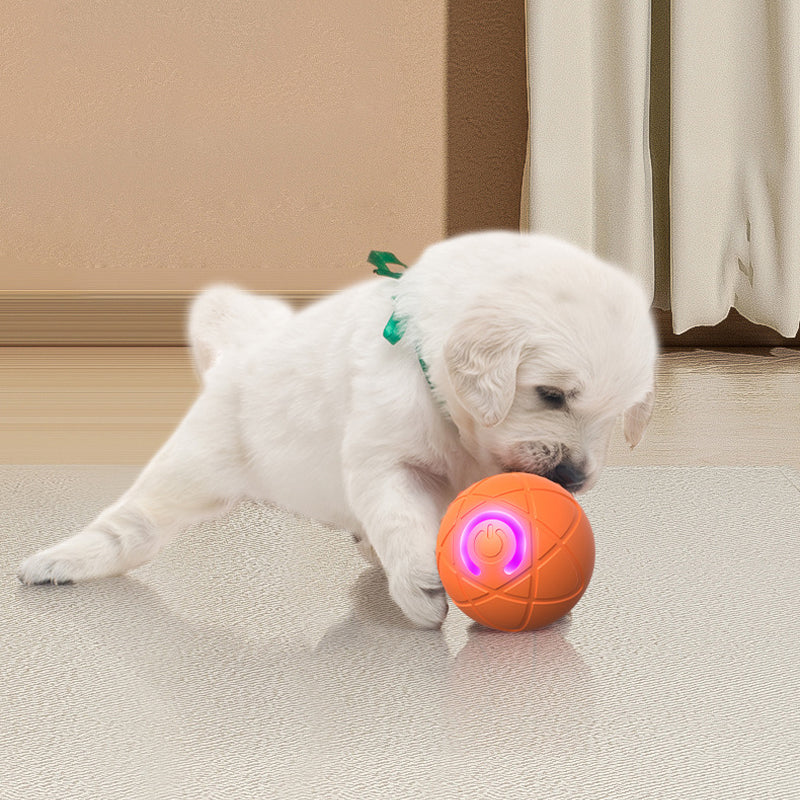 🔥50K+ SOLD!   🐾 AUTO-BOUNCING SMART PET BALL WITH REMOTE CONTROL— 3 Interactive Modes | Chew-Resistant E-TPU | USB-C Rechargeable 🎾
