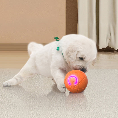 🔥50K+ SOLD!   🐾 AUTO-BOUNCING SMART PET BALL WITH REMOTE CONTROL— 3 Interactive Modes | Chew-Resistant E-TPU | USB-C Rechargeable 🎾