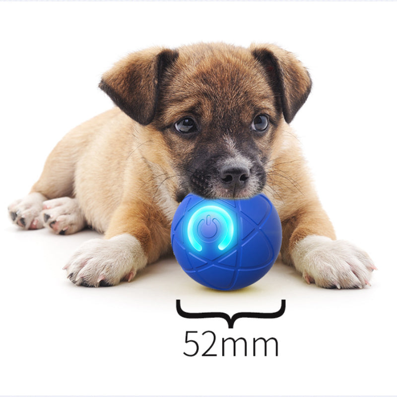🔥50K+ SOLD!   🐾 AUTO-BOUNCING SMART PET BALL WITH REMOTE CONTROL— 3 Interactive Modes | Chew-Resistant E-TPU | USB-C Rechargeable 🎾