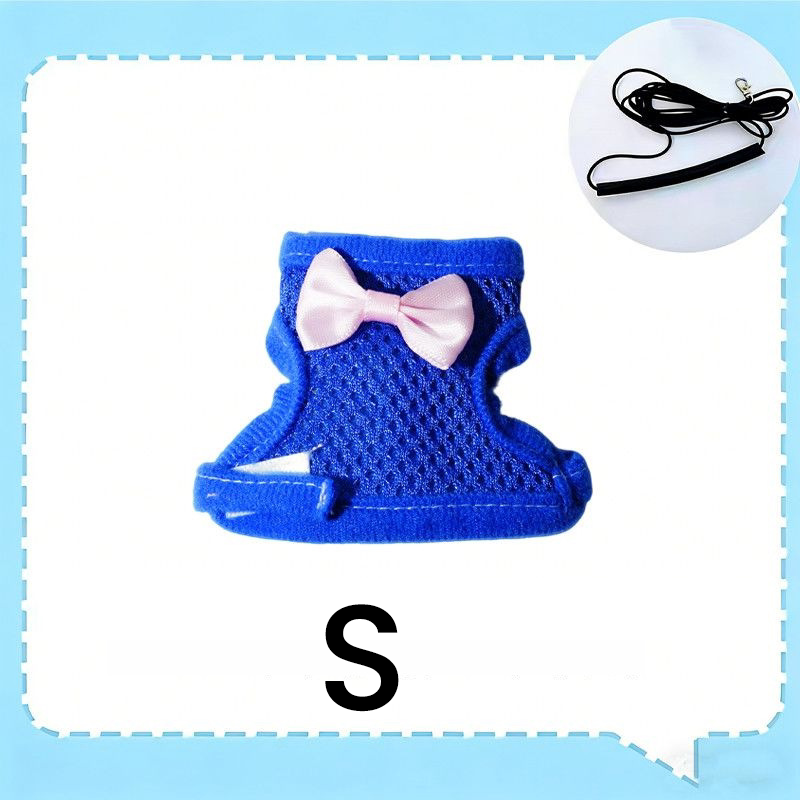 Parrot Flight Harness with Leash