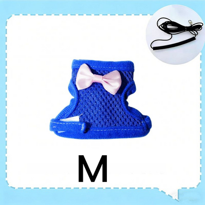 Parrot Flight Harness with Leash