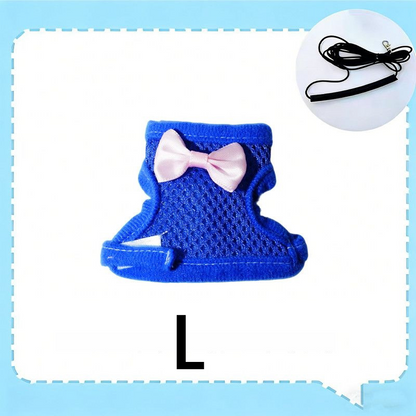 Parrot Flight Harness with Leash