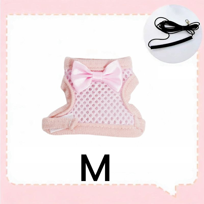 Parrot Flight Harness with Leash