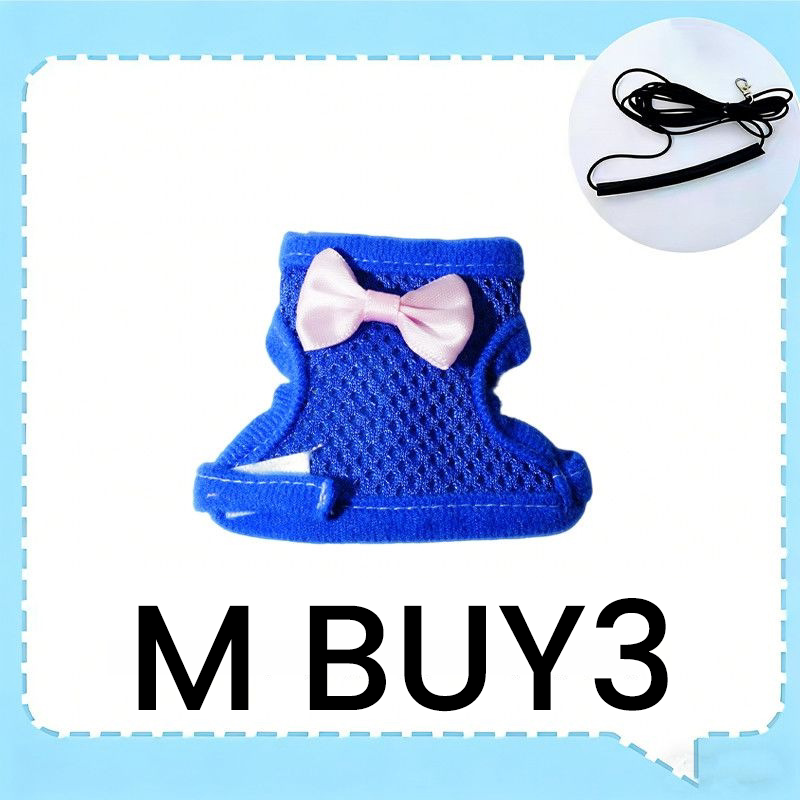 Parrot Flight Harness with Leash