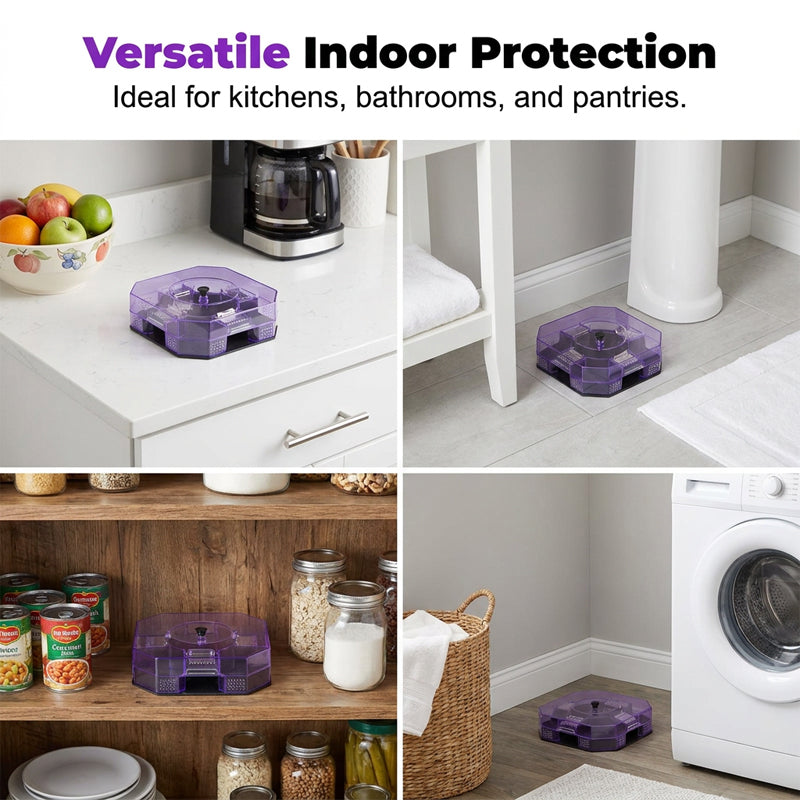 🥳2026 HOT SALE🥳💞50K+ SOLD!♻️🪳 50% OFF! Reusable Roach Trap – Physical capture, no toxic sprays. One‑way doors, easy to check & clean. Safe for homes with kids & pets! 🏠✨