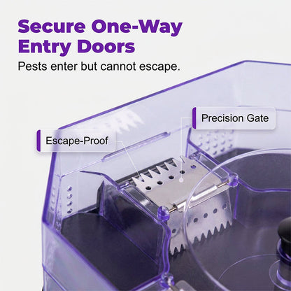 🥳2026 HOT SALE🥳💞50K+ SOLD!♻️🪳 50% OFF! Reusable Roach Trap – Physical capture, no toxic sprays. One‑way doors, easy to check & clean. Safe for homes with kids & pets! 🏠✨