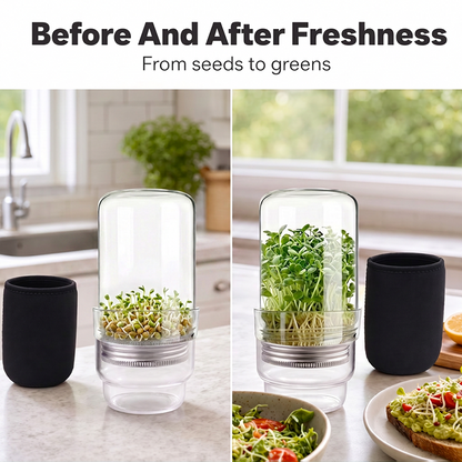 🌱 Grow Fresh Sprouts At Home – Glass Sprouting Jar Kit With Blackout Sleeve🥗