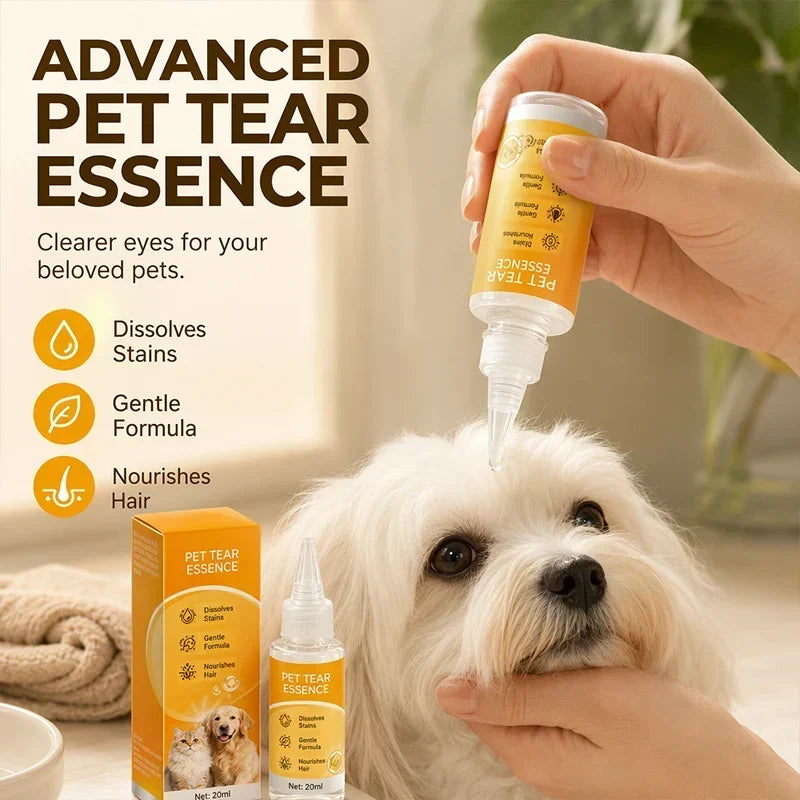🐶 Enjoy 50% off now! ✨ Gentle pet eye care—cleaning the eye area and daily fur grooming 👀