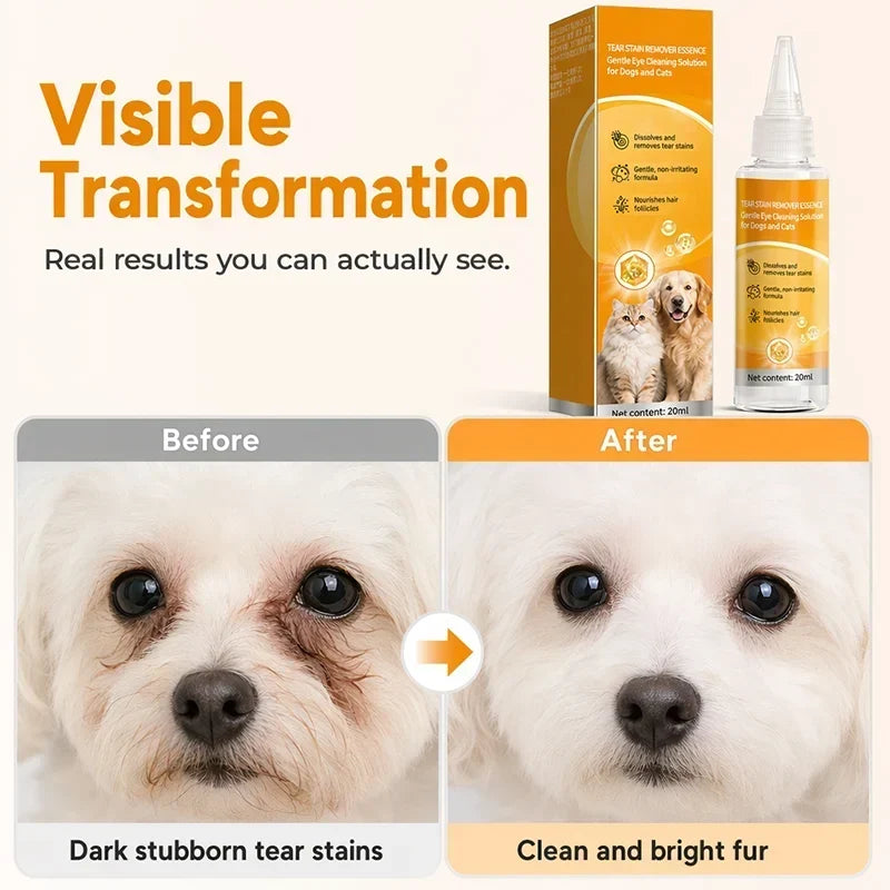 🐶 Enjoy 50% off now! ✨ Gentle pet eye care—cleaning the eye area and daily fur grooming 👀