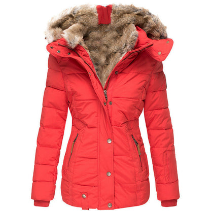 🧥 Women's Slim-Fit Hooded Padded Jacket ✨ – 50% OFF | Free Shipping 🚚 | 30-Day Money-Back Guarantee